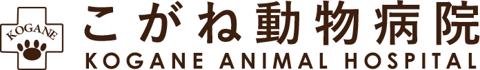 避妊・去勢 | 恵庭市黄金北こがね動物病院