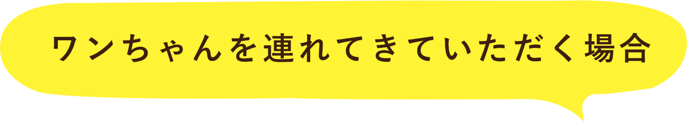 ワンちゃんを連れてきていただく場合