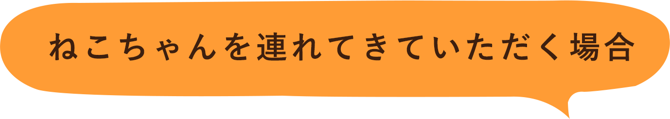 ねこちゃんを連れてきていただく場合