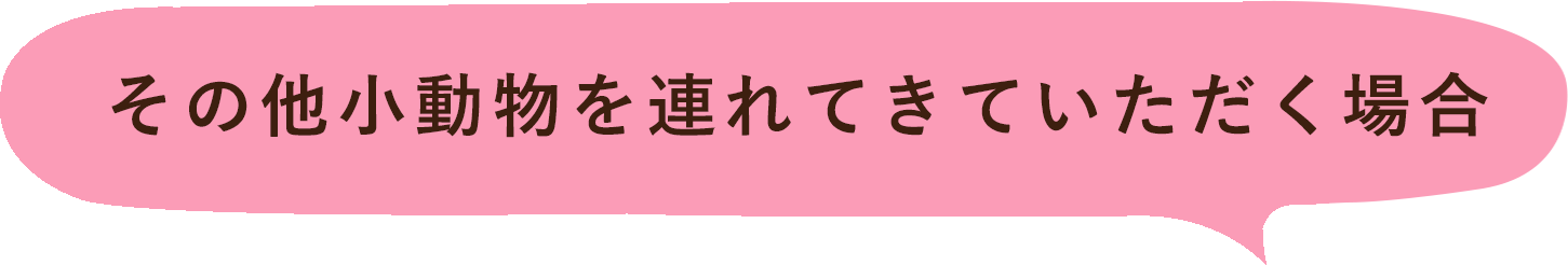 その他小動物を連れてきていただく場合